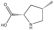 (2S,4S)-4-METHYL-PYRROLIDINE-2-CARBOXYLIC ACID Struktur