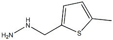 (5-METHYL-THIOPHEN-2-YLMETHYL)-HYDRAZINE Struktur