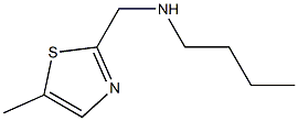 BUTYL-(5-METHYL-THIAZOL-2-YLMETHYL)-AMINE Struktur