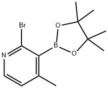 2-BROMO-4-METHYLPYRIDINE-3-BORONIC ACID PINACOL ESTER Struktur