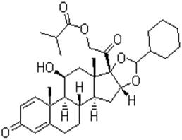 環(huán)索奈德