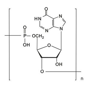 聚肌苷酸