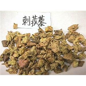 惠瑞生物/供應/純天然/刺蒺藜提取物