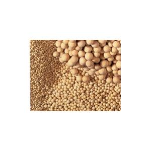 Molecular Sieve