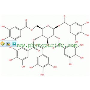 1,2,3,4,6-O-五沒食子酰葡萄糖