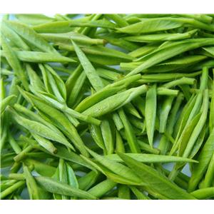 廠家供應(yīng)綠茶提取物茶多酚98%