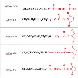 mPEG-SS 單甲氧基聚乙二醇 琥珀酰亞胺琥珀酸酯