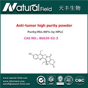 (4S)-4,11-Diethyl-4,9-dihydroxy-1H-pyrano[3',4':6,7]indolizino[1,2-b]quinoline-3,14(4H,12H)dione