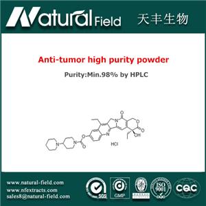 (4S)-4,11-Diethyl-4,9-dihydroxy-1H-pyrano[3',4':6,7]indolizino[1,2-b]quinoline-3,14(4H,12H)dione