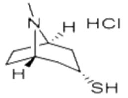 托品-3-硫醇鹽酸鹽