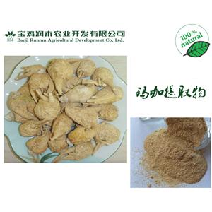 寶雞潤木 供應  瑪咖提取物 瑪卡生粉 比例產(chǎn)品