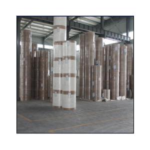 PE Coated Paper In Roll