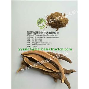 靈芝提取物 Reishi Mushroom Extract 靈芝多糖 陜西永源生物