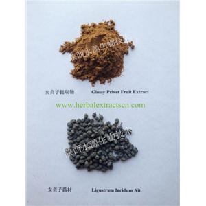 女貞子提取物  Fructus Ligustri Lucidi Extract 滋補(bǔ)肝腎，明目烏發(fā)  陜西永源生物