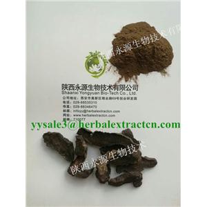 生地提取物， 生地黃提取物， Rehmannia Root Extract， 陜西永源生物