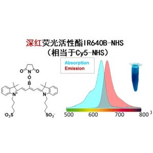 深紅熒光基團(tuán)IR640B-NHS  （相當(dāng)于Cy5-NHS）