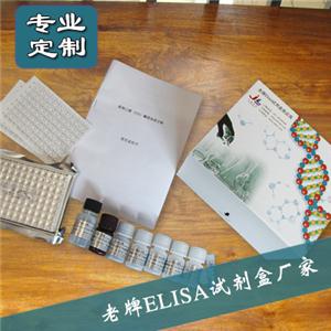 人基質(zhì)金屬蛋白酶2(MMP-2)ELISA試劑盒