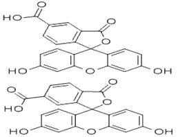 5(6)-羧基熒光素