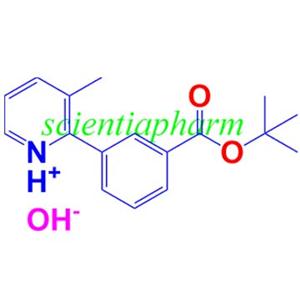 2-(3-(tert-butoxycarbonyl)phenyl)-3-Methylpyridin-1-iuM hydroxide