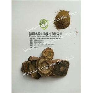 大黃提取物 Rhubarb Root P.E 大黃素50% CAS號(hào)：518-82-