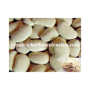 白蕓豆提取物white kidney bean Extract  活性3000  陜西永源生物