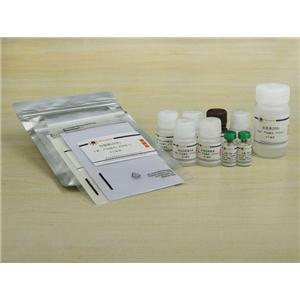 Rat TNF-α ELISA Kit