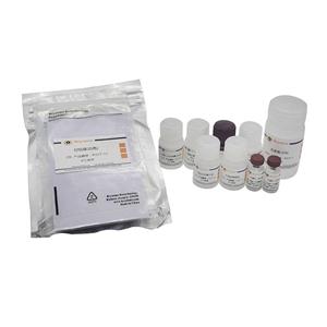 Rat IL-2 ELISA Kit