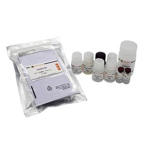 Mouse IL-4 ELISA Kit