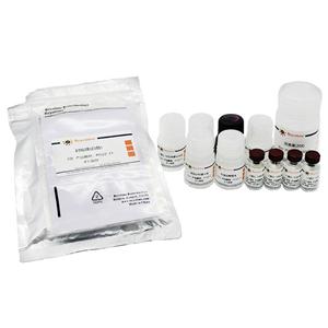 Mouse IL-10 ELISA Kit