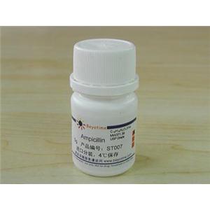 Ampicillin