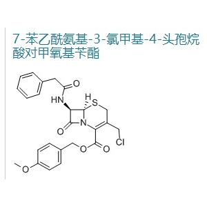 GCLE/7-苯乙酰胺基-3-氯甲基頭孢烷酸對(duì)甲氧卞酯/