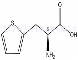 3-(2-Thienyl)-L-alanine