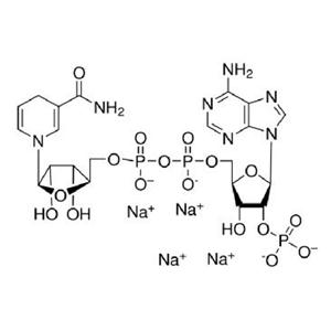 煙酰胺腺嘌呤二核苷酸磷酸（還原型）