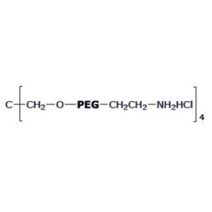 4ARM-PEG-NH2HCl