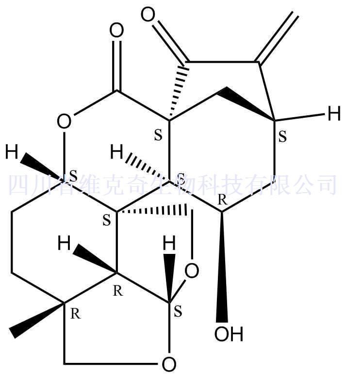 黃花香茶菜甲素