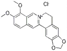 鹽酸黃連素