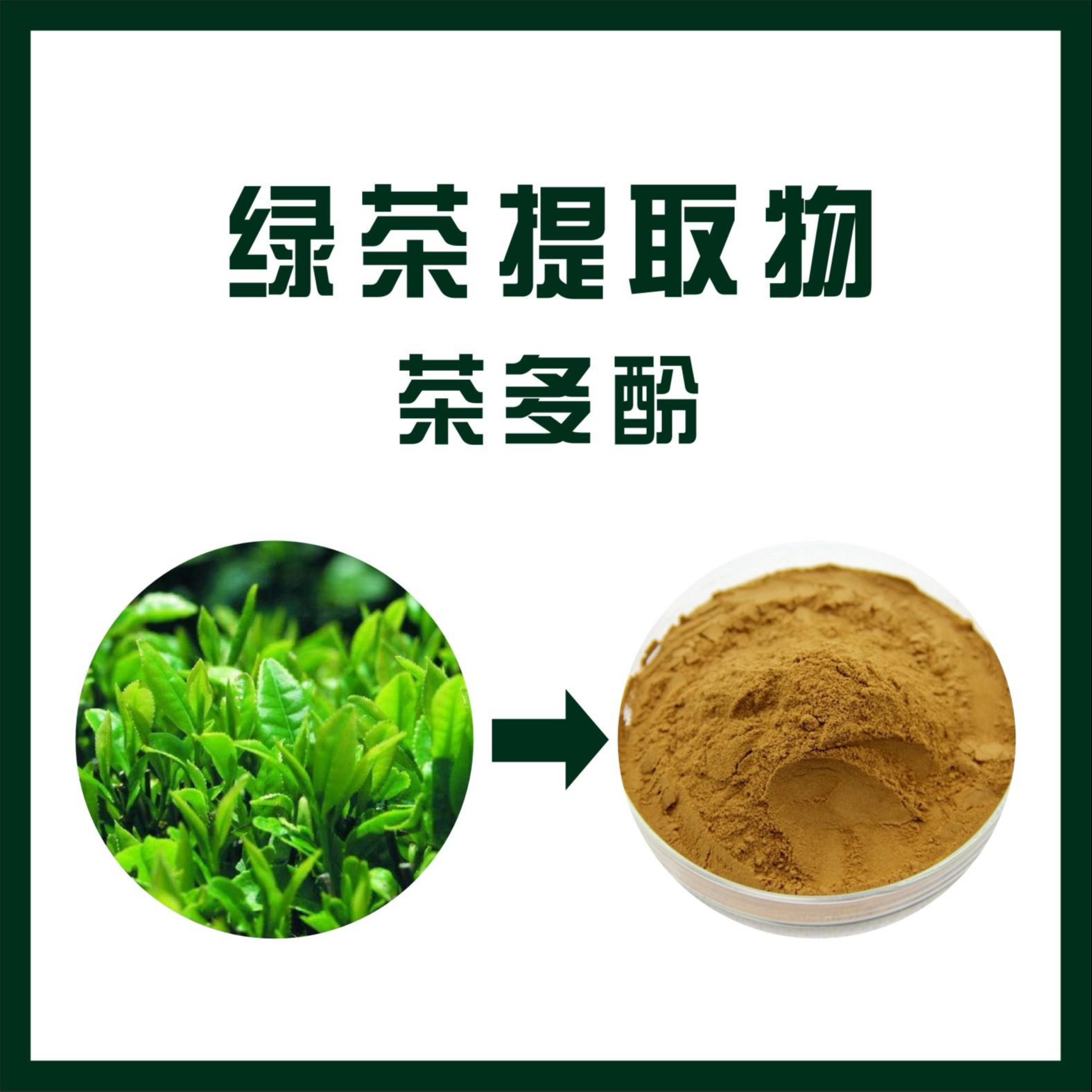 綠茶提取物（茶多酚）