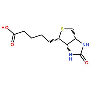 卵白素（雞蛋）