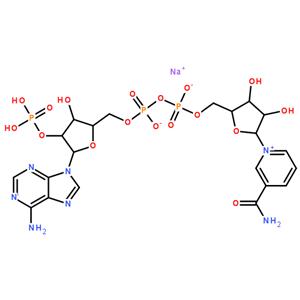 氧化型輔酶Ⅱ單鈉鹽