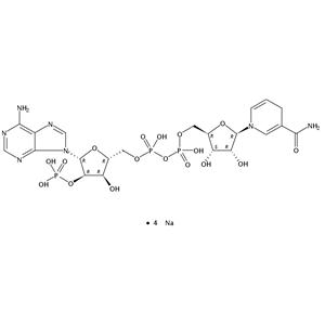 還原輔酶Ⅱ四鈉鹽水合物