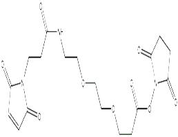 馬來酰亞胺-PEG2-NHS酯