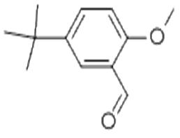 5-叔丁基-2-甲氧基苯甲醛