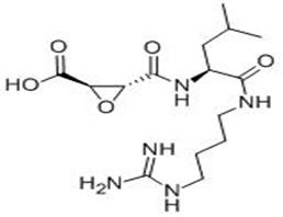 N-(反式-環(huán)氧丁二?；?-L-亮氨酸-4-胍基丁基酰胺