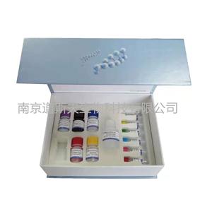 小鼠白介素2受體(IL-2R)ELISA KIT