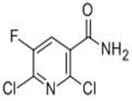 2,6-二氯-3-甲酰胺-5-氟吡啶