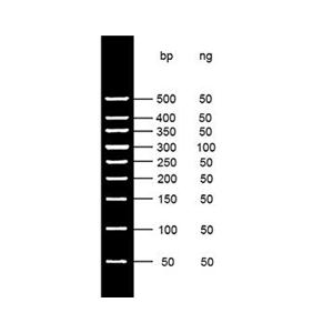 50bp DNA Ladder