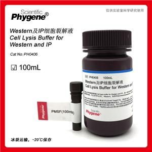 Western及IP細胞裂解液