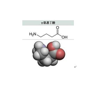 γ氨基丁酸，4-氨基丁酸（GABA