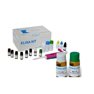 Human anti-trophoblast antibody,ATA ELISA Kit