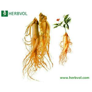 Ginseng Extrac